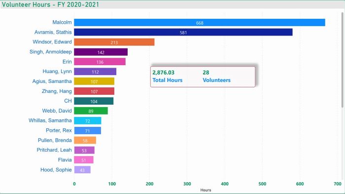 Volunteer Hours Financial Year 2020 - 2021 Chart